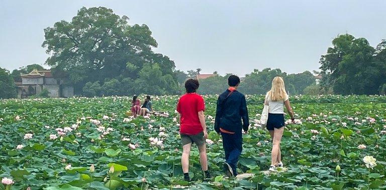 Three students walking through field of lily pads in Vietnam